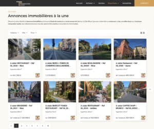 Site Web Annonces Immobilieres Commerciales